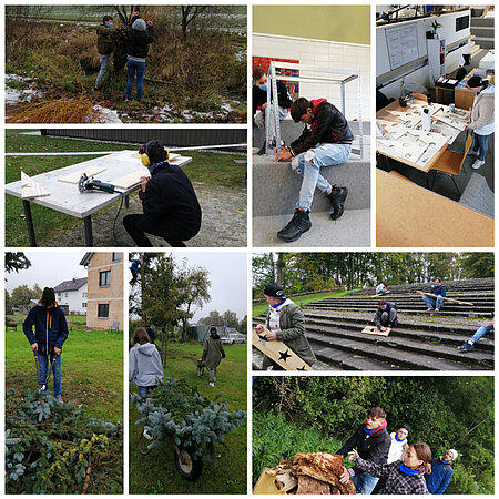 Bildcollage zum Projekt Tanne